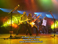 Whitesnake 2009