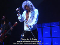 whitesnake 2011