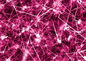 Deep Purple Nanowires