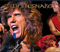 Whitesnake